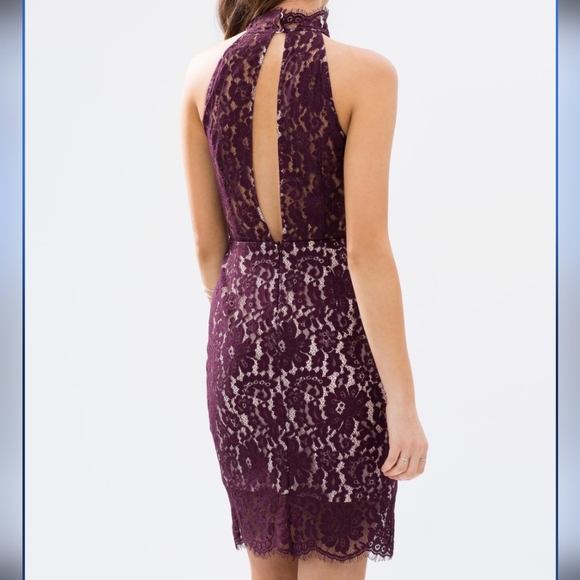 KEEPSAKE The Label 'One Night' Open Back Lace Dress - Picture 4 of 13